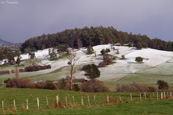 Snow on green hills and paddocks with fences and gum trees